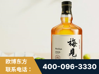 冷水江-梅见青梅酒